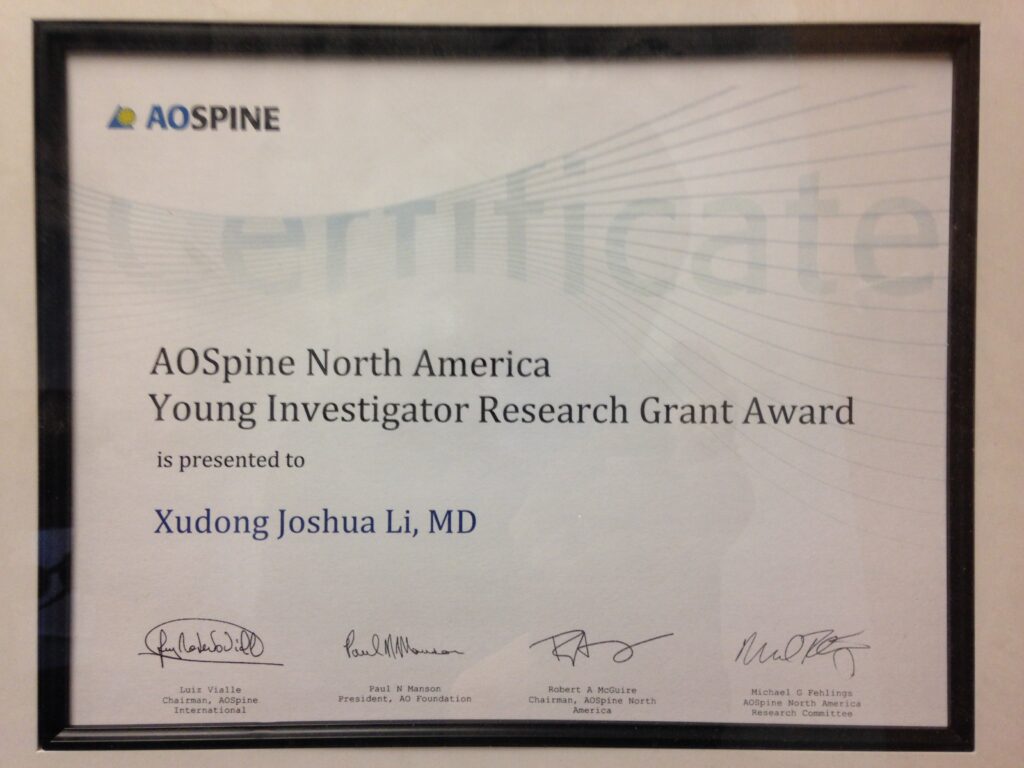 AO Spine Award 1024x768